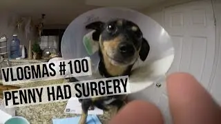VLOGMAS#100: PENNY HAD SURGERY | SCCASTANEDA