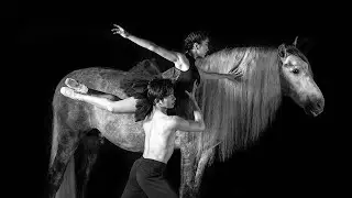 Pas de deux of dancers and horses