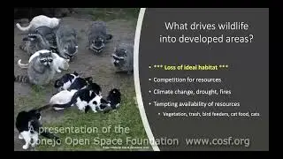 Dr. Jessica Sanchez shares Challenges for Humans and Wildlife Coexisting in a Developing World