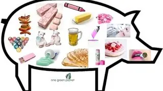 Pork by products
