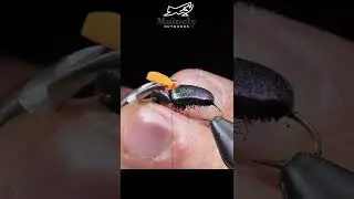 MUST Have Fall Trout Pattern!!