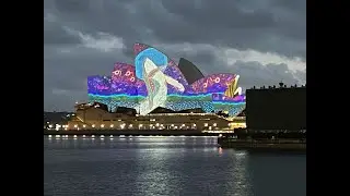 Australia Day Dawn Reflection at Sydney Harbour | Sunrise Ceremony & Aboriginal Art