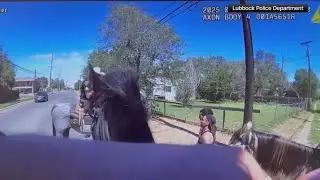 'Narcotic-smelling horse': Police on horseback chase down fleeing suspect in Lubbock