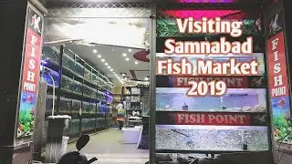 Visiting Fish Market in Lahore Samnabad (Fish point)