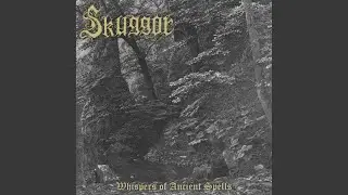 Silent Cry of the Forests Embrace