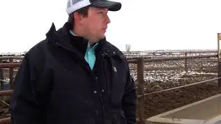 Proving the Value of Distillers Grain