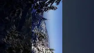Snowfall in mussoorie Laltibba Friday 5 February 2021 9:29