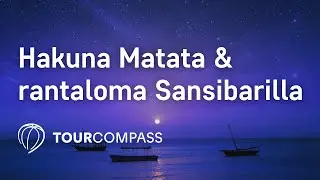 Hakuna Matata & rantaloma Sansibarilla