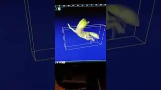 buggy upper body in dynamic mode