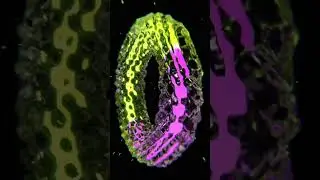 Liquid Loop - Neon Edition #3d #3dart #art #b3d #blender