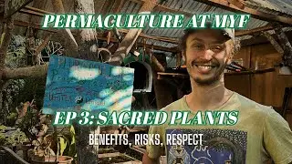Sacred Plant Medicines We Grow: Benefits, Risks & Respect | Permaculture Series Ep. 3