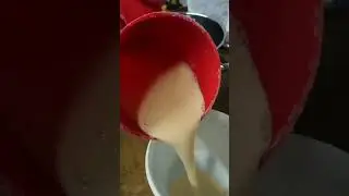 Eierstich ala OmaTeil 1 von 2