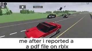 me after i report a pdf file on roblox