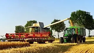 Żniwa 2015 Na Większą Skalę! 2x Claas Lexion, 3x John Deere! ( Dolny Śląsk )