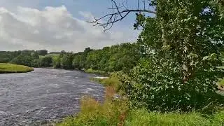 Hurst Green river Ribble near Hobbit hill. July 7th