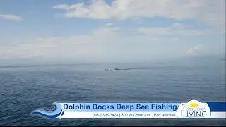 Dolphin Docks Deep Sea Fishing
