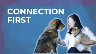 Before You Ask Your Pet Anything&hellip; | Animal Communication Tip