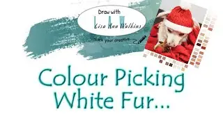Colour Picking White Fur - Reflective colours