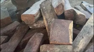 GỖ CẨM HOÀNG YẾN GIA LAI 0376768498|| HOÀNG THẢO KÈN - GỖ LŨA TỰ NHIÊN