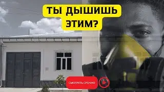 Осторожно! шифер опасен для здоровья!