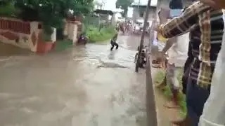 Gola road patna me road pe aya  magarmachh
