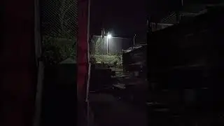 21.12.2025 ⚪ Memantau area rumah setelah jaga