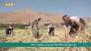 گوندی چەوتان دروێنەی مەرەزە          KNN