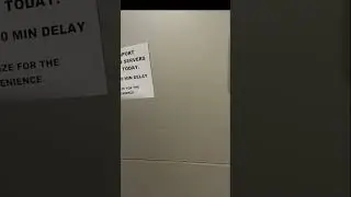 This Happened When I was Late for My Flight: Delayed Passport Processing