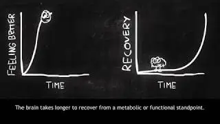 Return to Play Protocol - Complete Concussion Management (2020)