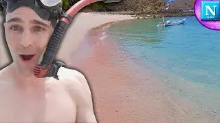 Extremely Rare PINK BEACH of Komodo Island #ad