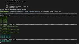 Section 4: Playbooks - Deep Dive | 24. Power User Secrets: Magic Variables