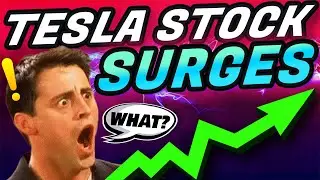 Tesla Q2 Earnings Recap! | In Depth