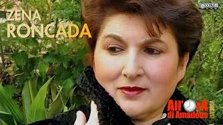 Zena Roncada | Il Cuore delle Formiche