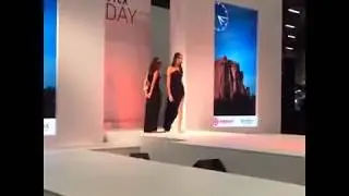 Desfile Expo Imigrantes 2018 Evolu&ccedil;&atilde;o