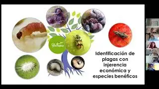 Biofuturo - Red Chilena de Bioinsumos