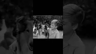 Lassie TV Intro (1954)