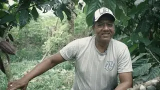 Pac&iacute;fico Biocultural: Making Peace with Nature in Colombia through the FAO-GEF Partnership