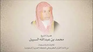 نوادر الشيخ محمد السبيل -  من سورتي القصص والعنكبوت