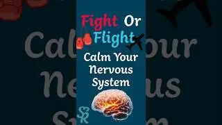 Sound Therapy: Calm Your Nervous System & Retrain Your Brain!