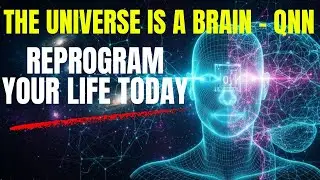 Decoding QNN: How the Universe 