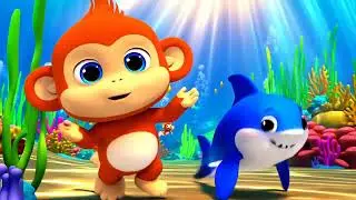 Baby Shark Doo Doo Doo | DuDu Monkey Dance | Fun Kids Song & Dance! p128
