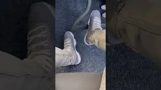 Jordan 11 Cool Grey #viral #jordan #11s #feetcheck