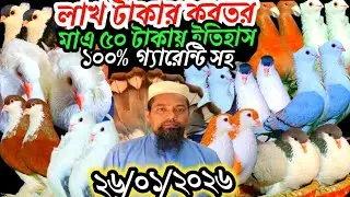 মাএ,৫০,টাকায়,কবুতর,কিনুন,লাখ,টাকার,ডিমবাচ্ছা,সহ,আজ,টপ,কোয়ালিটি,লাহরী,বোম্বাই,সাটিন,আজ