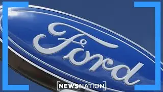 Ford to shift EV strategy by building new lower-cost pickups, commercial van | NewsNation Now