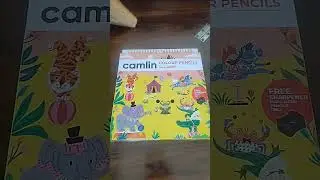 Camlin 24 shades colour pencil unboxing #drawing #pencil colour😇😍