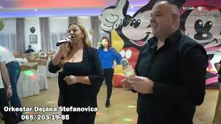 JANKO / RADA / ORKESTAR DEJANA STEFANOVICA - PORODICNI MIX