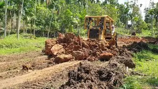 Landscaping Marvel: Bulldozer D6R XL's Capability