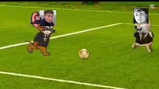 Partidaso
