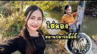มื้อนี้หมานปลาข่อ ใส่มองหาปลา หาอยู่หากินสไตล์สาวลาว