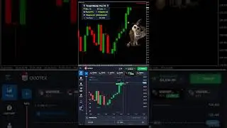 paid indicator trend master pro v4  #trendmasterpro #mrmt4 #trading #trading